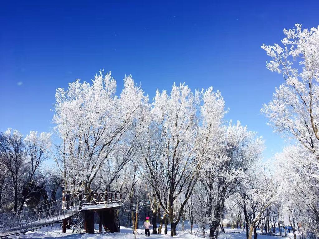 Songhua Lake Qingshan Snow View Apartment Csilin Kültér fotó